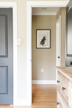 an open door leading to a kitchen with wood flooring and gray painted doors on both sides