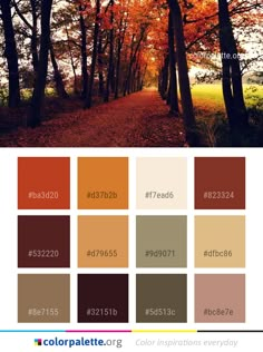 an image of the colors of autumn in color palettes, including brown and orange