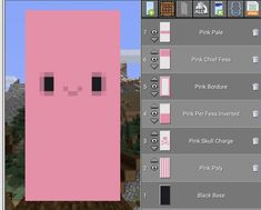 an image of a pink door in minecraft