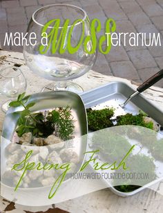 there is a bowl with plants in it and a wine glass on the table next to it