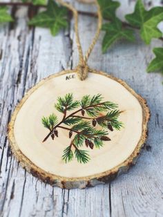 a piece of wood that has some pine cones on it and green leaves around it