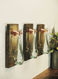 three glass vases are hanging on the wall next to a potted plant and some wood