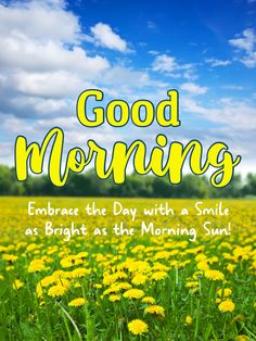 the words good morning embrace the day with a smile as bright as the morning sun