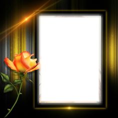 a single orange rose is in front of an empty photo frame