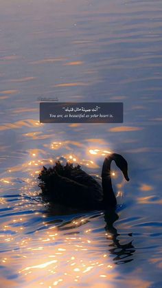 a black swan floating on top of a lake next to a quote that reads, you are beautiful as your heart