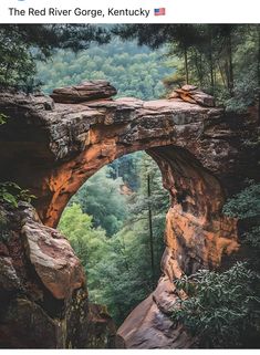 the red river gorge, kentucky is an incredible place to see natural beauty and nature