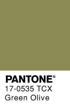 the pantone green olive color is shown