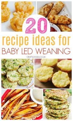 baby led weaning meal ideas with text overlay that reads 20 baby led weeing meal ideas