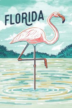 a pink flamingo standing on top of a body of water