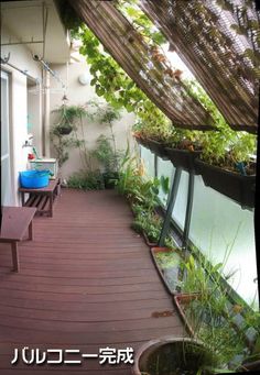 an outdoor patio with plants and potted plants on the deck area, in front of a building