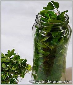 a glass jar filled with green plants on top of a table