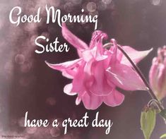 a pink flower with the words good morning sister have a great day