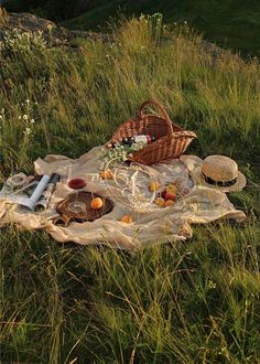 a picnic is set out in the tall grass