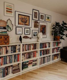 a living room filled with lots of books