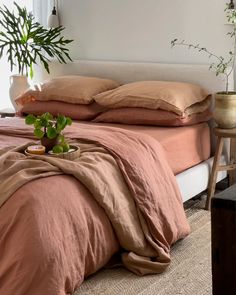 a bed with pink sheets and pillows in a bedroom next to a plant on the floor