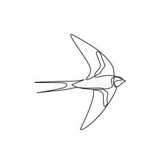 a single line drawing of a bird flying in the sky royalty illustration on white background