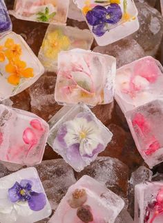 ice cubes with flowers on them sitting on top of each other