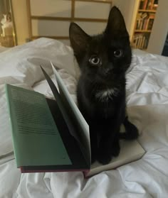 a small black kitten sitting on top of a bed next to an open book in front of it