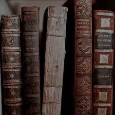 old books are lined up on a shelf