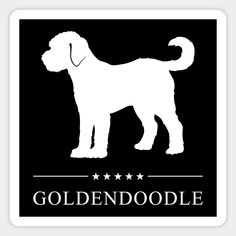 a black and white dog with the words goldendoodle