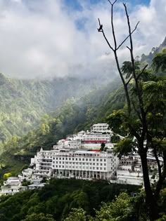 a large white building sitting on top of a lush green forest covered hillside next to a mountain