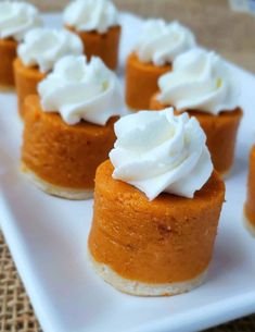 mini pumpkin pies topped with whipped cream on a white plate