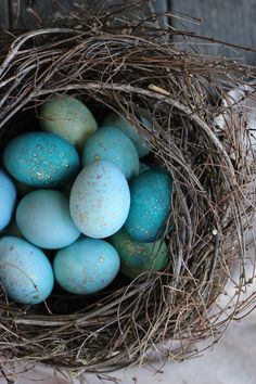 a bird nest filled with blue and green eggs