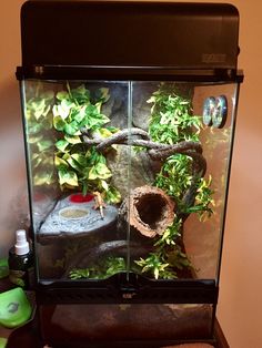 a fish tank filled with plants and rocks on top of a wooden table in front of a wall