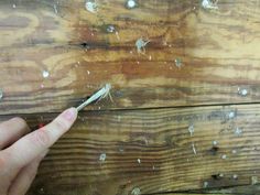 a person holding a toothbrush in their left hand near wood planks that have been chipped off