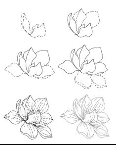 four different types of flowers on a white background