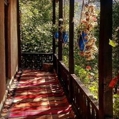 an outdoor covered porch with lots of plants