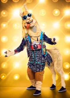 a man dressed as a llama with sunglasses on