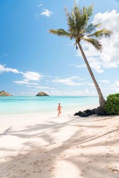 a woman walking on the beach with a palm tree in front of her and an island in the background