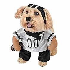 a dog dressed up in a football uniform with his tongue out and mouth wide open