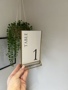 a person holding up a table number sign in front of a plant hanging from the wall