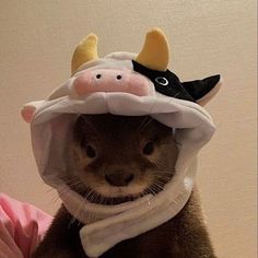 a ferret wearing a cow costume on top of it's head