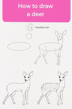 how to draw a deer with the words, how to draw a deer on paper