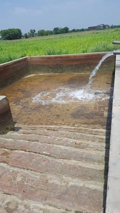 a fire hydrant spewing out water into a pool in the middle of a field