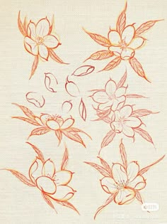 some flowers are drawn on a piece of paper