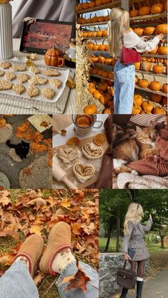 a collage of photos with pumpkins, cookies and other things in the background