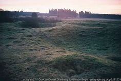 an aerial view of a grassy field with trees in the background at sunset or dawn