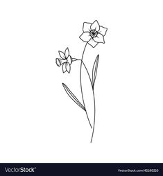 two flowers line drawing on white background