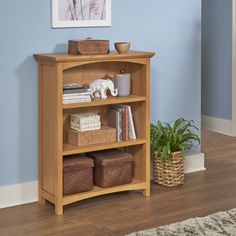 a wooden shelf with baskets and books on it next to a potted plant in a blue room