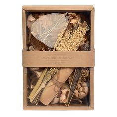 a box filled with lots of different types of leaves and other things inside of it