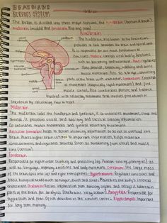 a spiral notebook with the words brain and nervous system written on it