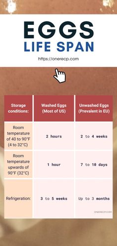 Eggs Life Span