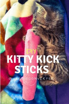 a kitten laying on top of a purple blanket next to a pink toy and the words kitty kick sticks