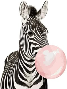 a zebra holding a pink ball in its mouth