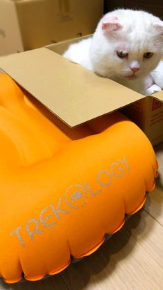 a white cat sitting in a box on the floor next to a yellow foot rest