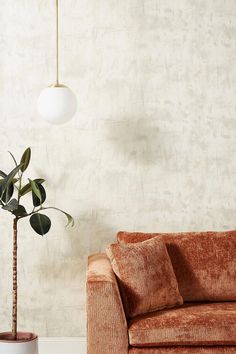 a living room with a couch and a potted plant